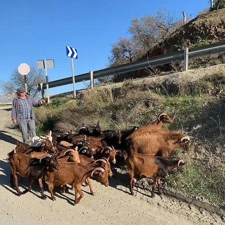 Casa Anhelando Andalucia - 8p Met Verwarmd Zwembad Op Heuveltop Met Magnifiek Uitzicht, Waaronder Zeezicht, Nabij Dorp En Iznate